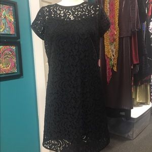 Black/Navy Blue Lace Dress
